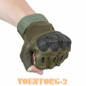 �������� � ������ �������� | ���� olive